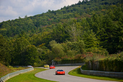 #82 Hoosier VP Fuels Chevrolet Corvette: Norman Betts