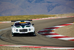 #08 Dyson Racing Team Bentley Bentley V8 T: Butch Leitzinger