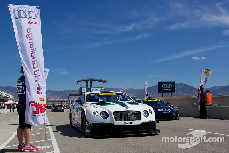 #08 Dyson Racing Team Bentley Bentley V8 T: Butch Leitzinger