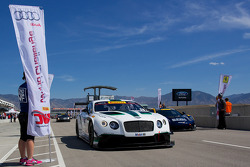 #08 Dyson Racing Team Bentley Bentley V8 T: Butch Leitzinger