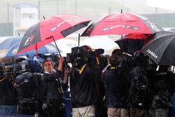 De media in een natte en regenachtige paddock