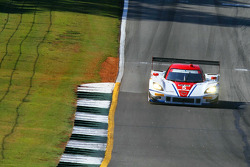 #5 Action Express Racing Corvette DP: Joao Barbosa, Christian Fittipaldi, Sébastien Bourdais