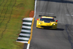 #3 Corvette Racing Chevrolet Corvette C7.R: Jan Magnussen, Antonio Garcia, Ryan Briscoe