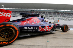 Max Verstappen, Scuderia Toro Rosso