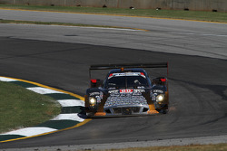#60 Michael Shank Racing with Curb/Agajanian Ford EcoBoost/Riley: John Pew, Oswaldo Negri