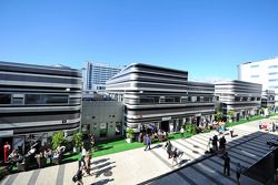 The paddock