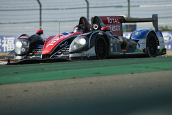 #1 Oak Racing Morgan Judd: David Cheng, Ho-Pin Tung