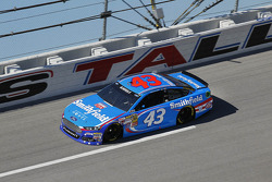 Aric Almirola, Richard Petty Motorsports Ford