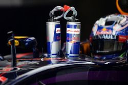 Daniel Ricciardo, Red Bull Racing RB10 with tributes to Jules Bianchi on his drinks bottles