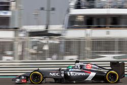 Adderly Fong, Sauber C33 Test Driver