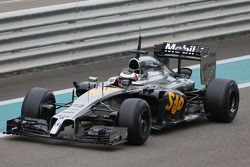 Stoffel Vandoorne, McLaren MP4-29H, Testfahrer