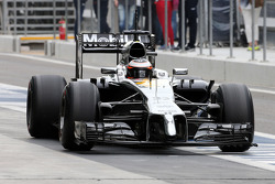 Stoffel Vandoorne, third driver, McLaren F1 Team