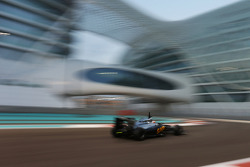 Stoffel Vandoorne, McLaren MP4-29H Test and Reserve Driver