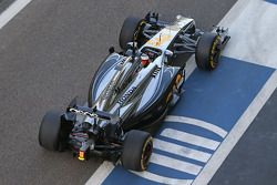 Stoffel Vandoorne, McLaren MP4-29H Piloto de testes e reserva