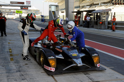 #46 Avelon Formula Wolf GB08: Simon Stoller, Gianluca Pizzuti, Fabio Emanuela