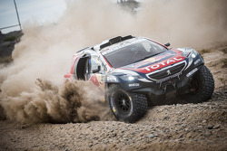 #322 Peugeot: Cyril Despres, Gilles Picard