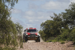 #305 Mini: Orlando Terranova, Bernardo Graue
