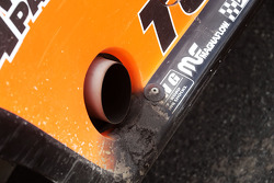 Gordini detail