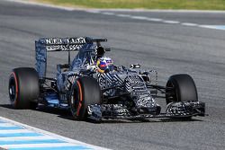 Daniel Ricciardo, Red Bull Racing RB11