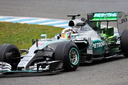Lewis Hamilton, Mercedes AMG F1 W06 running flow-vis paint