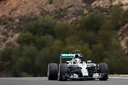 Lewis Hamilton, Mercedes AMG F1 W06