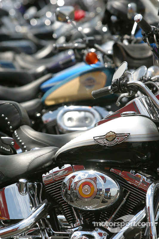 Charlotte Harley Davidson >> A Sea Of Harley Davidson In The Paddock At Charlotte Charlotte Harley Davidson >> A Sea Of Harley Davidson In The Paddock At Charlotte