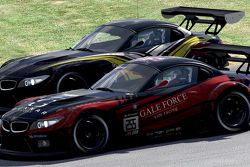 #255 Gale Force Sim Racing BMW Z4 GT3