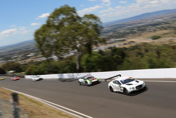 #8 Flying B Motorsport Bentley Continental GT3: Peter Edwards, John Bowe, David Brabham