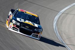 Ryan Newman, Richard Childress Racing Chevrolet