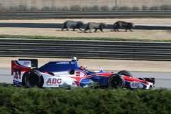 Jack Hawksworth, A.J. Foyt Enterprises Honda