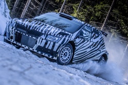 Skoda Fabia R5