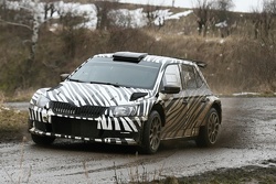 Skoda Fabia R5