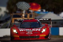 #31 Action Express Racing Corvette DP: Eric Curran, Dane Cameron, Max Papis