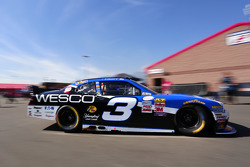 Ty Dillon, Richard Childress Racing Chevrolet