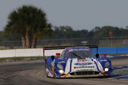 #01 Chip Ganassi Racing Ford/Riley: Scott Pruett, Joey Hand, Scott Dixon