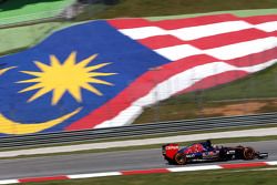 Макс Ферстаппен, Scuderia Toro Rosso