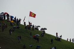 Фанаты с флагами
