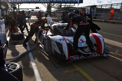 #3 Team LNT Ginetta Nissan: Chris Hoy, Charles Robertson