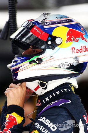 Daniel Ricciardo Red Bull Racing RB11.