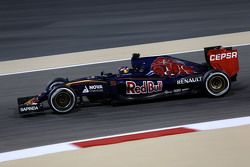 Макс Ферстаппен, Scuderia Toro Rosso