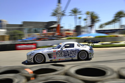 #08 DragonSpeed Mercedes-Benz AMG SLS GT3: Eric Lux