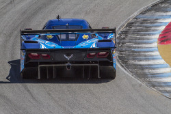 #90 VisitFlorida.com Racing Corvette DP: Richard Westbrook, Michael Valiante