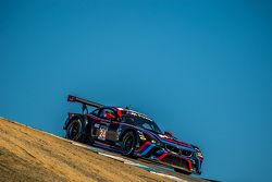 #24 BMW Team RLL BMW Z4 GTE: John Edwards, Lucas Luhr