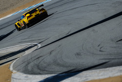 #3 Corvette Racing Chevrolet Corvette C7.R: Jan Magnussen, Antonio Garcia