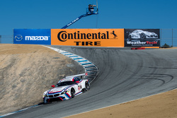 #25 BMW Team RLL BMW Z4 GTE: Bill Auberlen, Dirk Werner