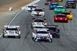 #25 BMW Team RLL BMW Z4 GTE: Bill Auberlen, Dirk Werner