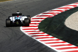 Susie Wolff, Williams FW37 ontwikkelingscoureur