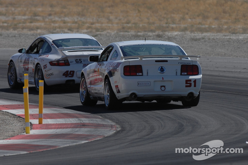 #51 Stealth Racing Mustang GT: Pete Halsmer, Stu Hayner, Mike Miller