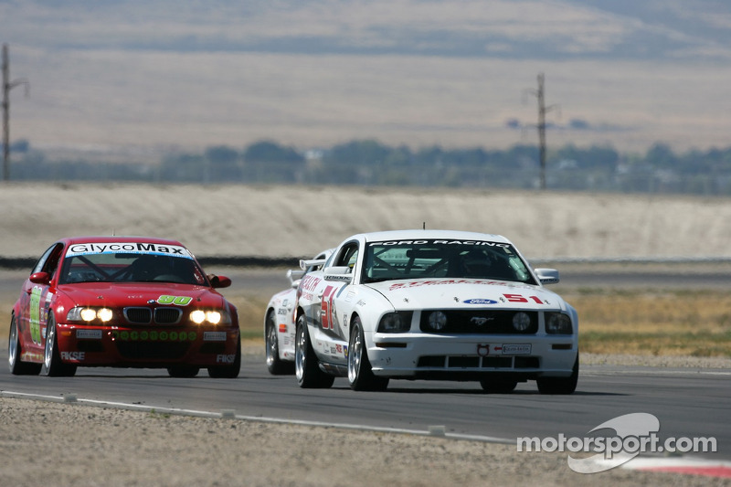 #51 Stealth Racing Mustang GT: Pete Halsmer, Stu Hayner, Mike Miller