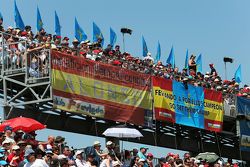 Letreros de Fernando Alonso, McLaren